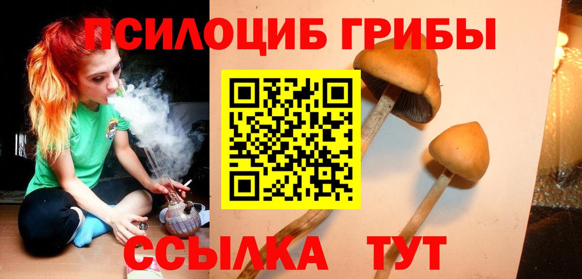 Псилоцибиновые грибы Magic Shrooms  Вход с VPN  Павлово  Псилоцибиновые грибы Cubensis 