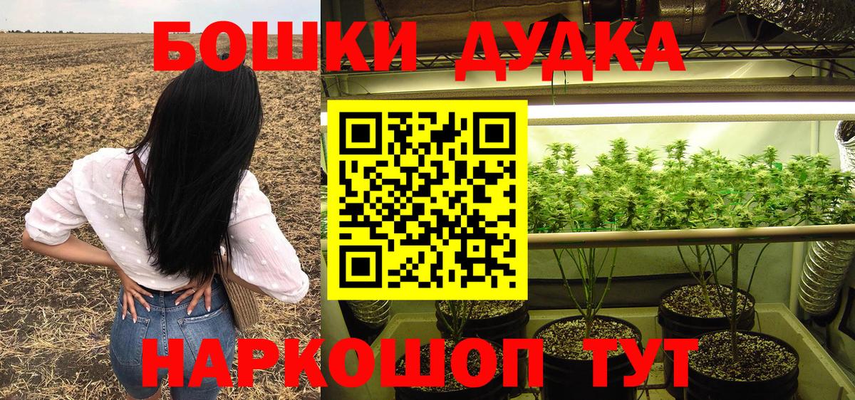 Каннабис сатива Павлово